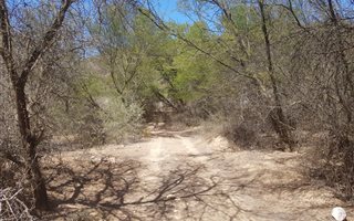 119 ha Farm in Ladismith