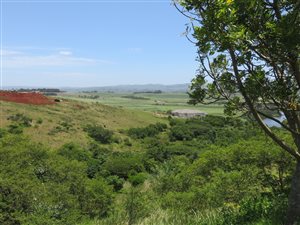 1351 m² Land available in Mtunzini