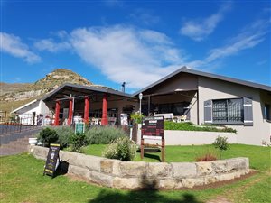392 ha Farm in Clarens