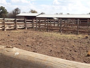 8.8 ha Farm in Vissershoek