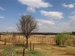 10.8 ha Farm in Magaliesburg