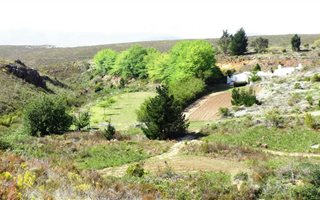 291.2 ha Farm in Greyton