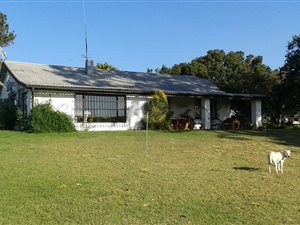 40 ha Farm in Richmond