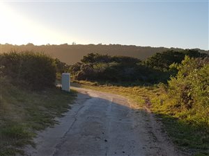 1071 m² Land available in Beachview