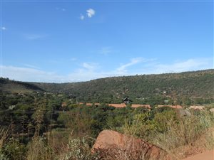 1000 m² Land available in Presidentsrus