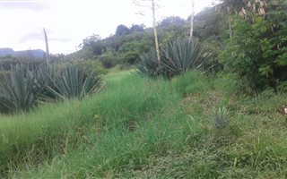 1662 m² Land available in Ohrigstad