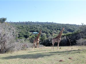 9.6 ha Land available in Coastal Suburbs