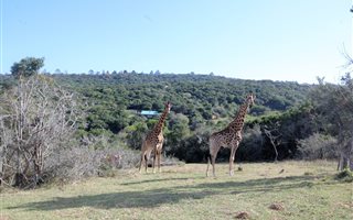 9.6 ha Land available in Coastal Suburbs