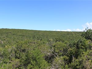 18.1 ha Farm in Kwelera
