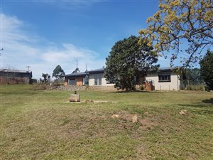 13.7 ha Farm in Cato Ridge