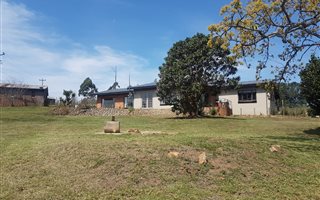 13.7 ha Farm in Cato Ridge