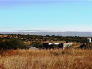 20 ha Smallholding in Roossenekal