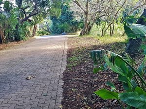966 m² Land available in Woodgrange