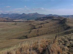 128 ha Farm in Kokstad