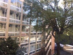 1 Bed Apartment in Houghton Estate