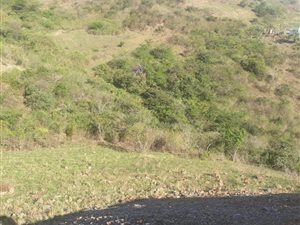 825 m² Land available in Umgababa