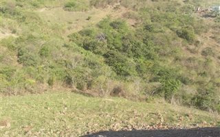 825 m² Land available in Umgababa