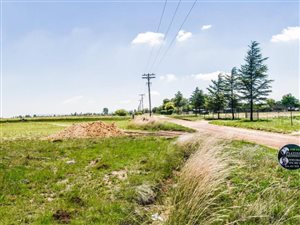 5 ha Land available in Nelsonia