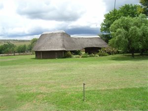 2.6 ha Farm in Grootvlei