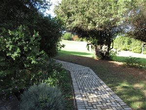 3 Bed House in Bathurst and Surrounds
