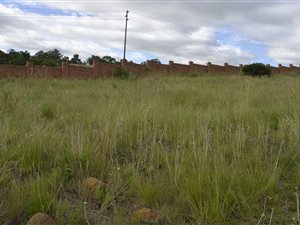 660 m² Land available in Lydenburg