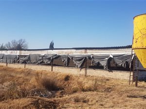 1.6 ha Farm in Walkerville