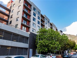 1 Bed Apartment in Zonnebloem