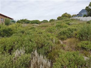 972 m² Land available in Pearly Beach