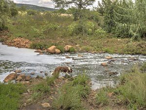 8.6 ha Farm in Elandsfontein