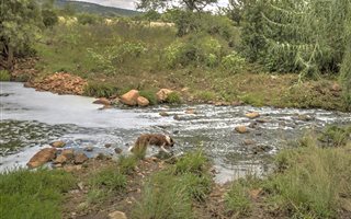 8.6 ha Farm in Elandsfontein
