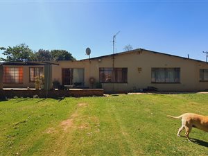 11.5 ha Farm in Sundra