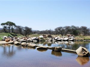 1004 m² Land available in Euphoria Golf Estate