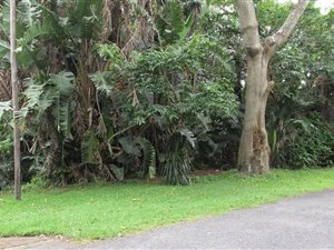 1408 m² Land available in Trafalgar