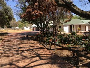 2.8 ha Smallholding in Honeydew