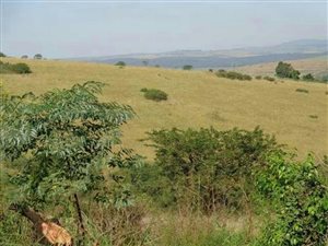 20.2 ha Land available in Cato Ridge