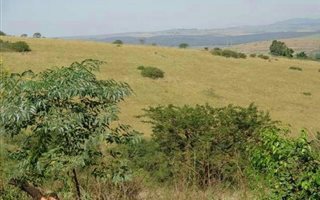 20.2 ha Land available in Cato Ridge