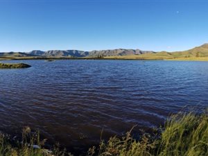 4000 ha Farm in Aliwal North
