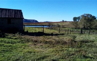 104 ha Smallholding in Ladybrand