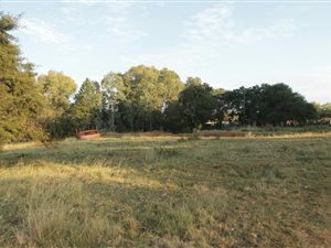 79.5 ha Farm in Lydenburg