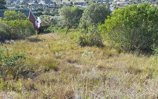 800 m² Land available in Meedingsride