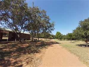 1.3 ha Land available in Loskop Dam