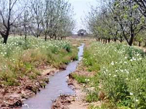 75 ha Farm in Jan Kempdorp