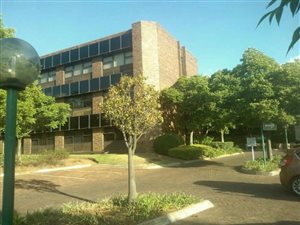 138 m² Office Space in Ormonde