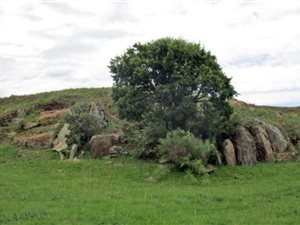 171 ha Farm in Steynsrus