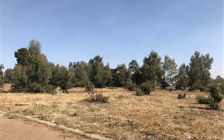 4572 m² Land available in Hamilton
