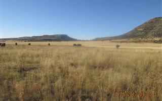1028 ha Farm in Rouxville