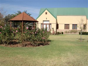 3600 m² Farm in Groenvlei