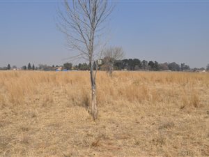 2.1 ha Land available in Buyscelia