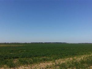 1308 ha Farm in Hopefield