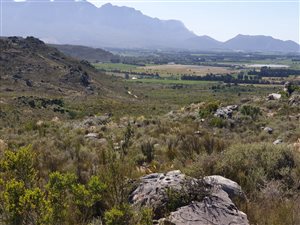 1 ha Farm in Tulbagh